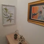 Kineski Zid * Зеница